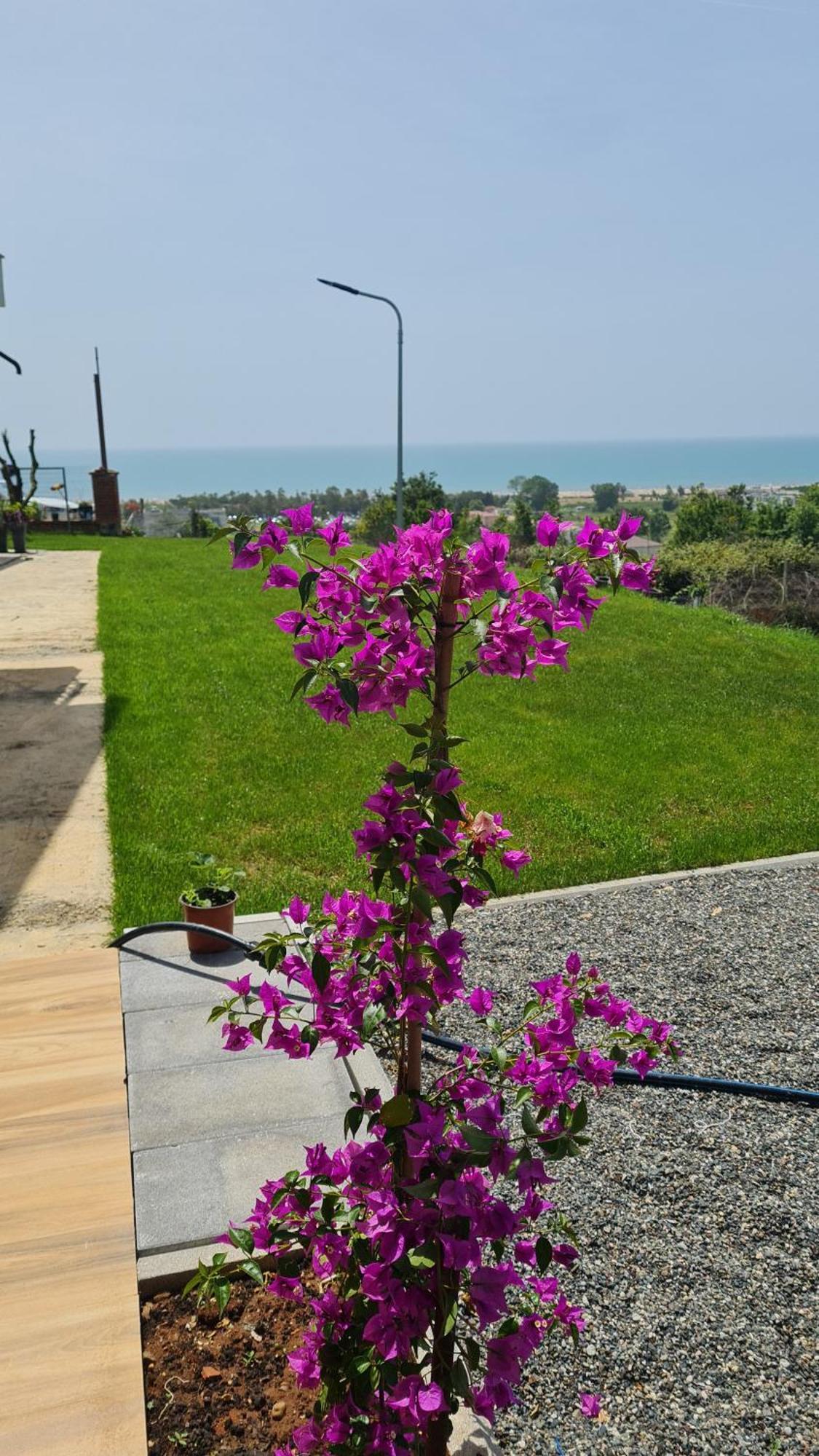Sol Apartments Gjiri Lalzit Durrës 외부 사진