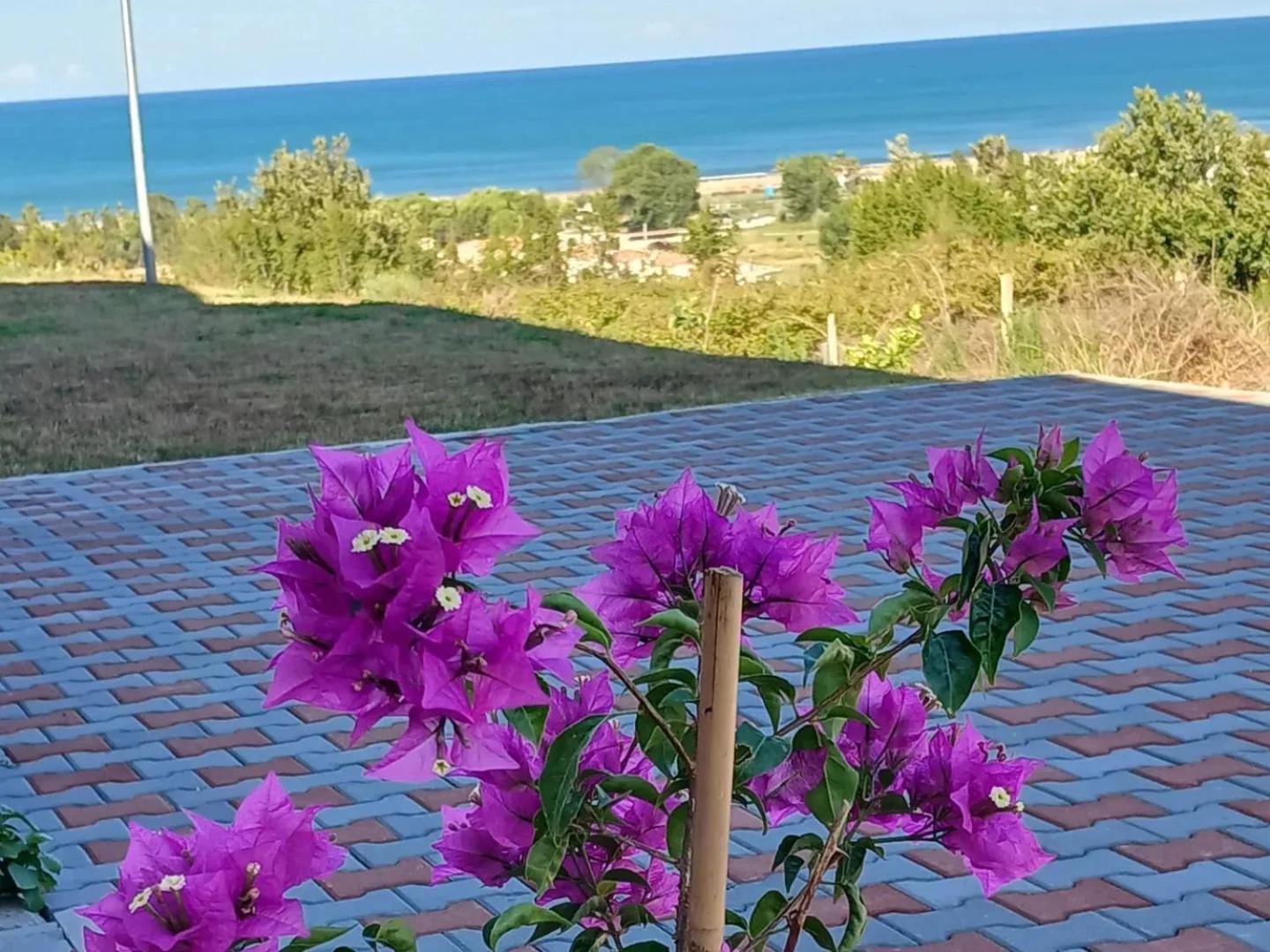 Sol Apartments Gjiri Lalzit Durrës 외부 사진